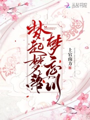 夢起夢落夢忘川