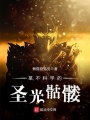某不科學(xué)的圣光骷髏