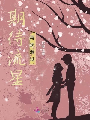 期待流星再次滑過