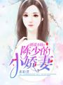 婚謀不軌：陳少的小嬌妻