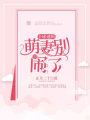 全球通緝：萌妻別鬧了