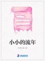 小小的流年
