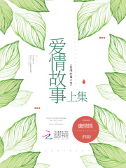 愛情故事上集