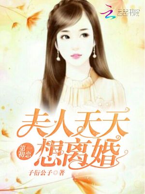第一初戀之夫人天天想離婚