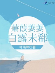 蒹葭萋萋白露未郗