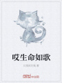 哎生命如歌
