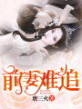前妻難追