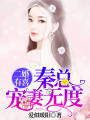 二婚有喜，秦總寵妻無度
