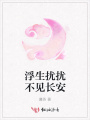 浮生擾擾不見長安