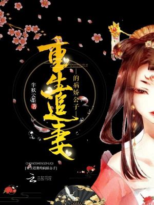 重生追妻的病嬌公子