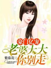 豪門億寵：老婆大大你別走