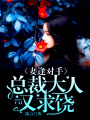 妻逢對手：總裁大人又求饒