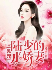 陸少的狐貍小嬌妻