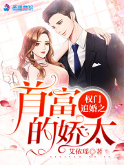 權門追婚之首富的嬌太