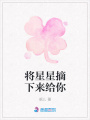 將星星摘下來給你
