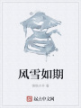 風(fēng)雪如期