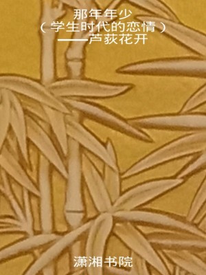 年少學(xué)生時(shí)代