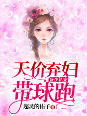 盛少私寵：天價棄婦帶球跑
