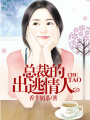 總裁的出逃情人