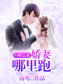 閃婚總裁：嬌妻哪里跑