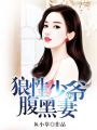 狼性少爺腹黑妻
