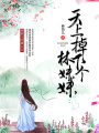 天上掉下個林妹妹