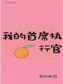 我的首席執行官