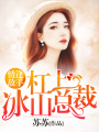 杠上冰山總裁：情逢敵手