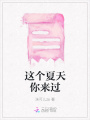 這個夏天你來過