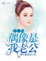 閃婚之偶像是我老公