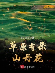 草原有朵山丹花