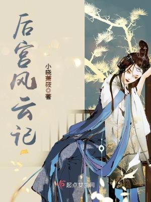 后宮風云記