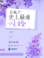 總裁之史上最速閃婚