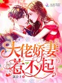 大佬嬌妻惹不起