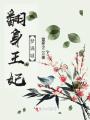 翻身王妃夢滿城