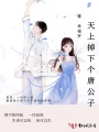 天上掉下個(gè)唐公子