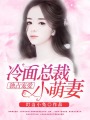 獨(dú)占寵愛：冷面總裁小萌妻