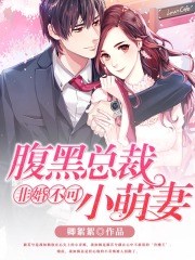 非婚不可：腹黑總裁小萌妻