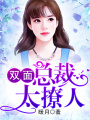 雙面總裁太撩人