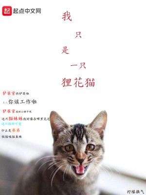 我只是一只貍花貓