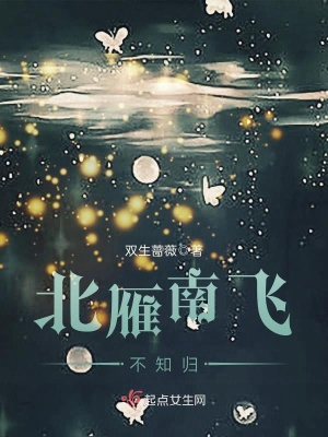 北雁南飛不知歸
