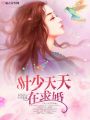 葉少天天在求婚