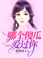 哪個傻瓜愛過你