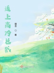 追上高冷總裁