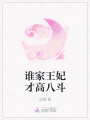 誰家王妃才高八斗