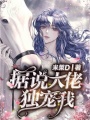 據(jù)說大佬獨寵我