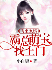 飛來寵婚：霸總萌寶找上門！