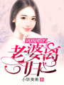頂級(jí)婚約：老婆離一歸二！