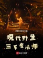 現代野生三系魔法師
