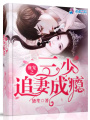 盛寵之三少追妻成癮